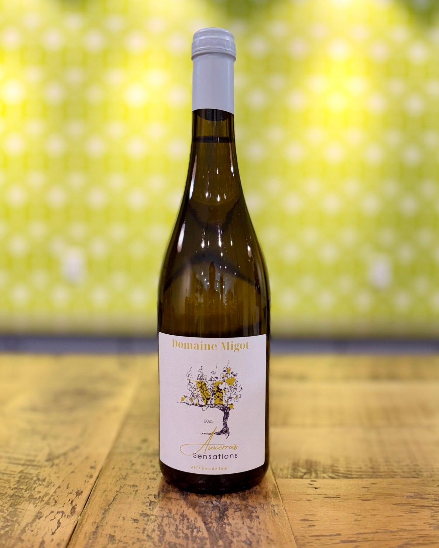 Domaine Migot - Auxerrois 2025